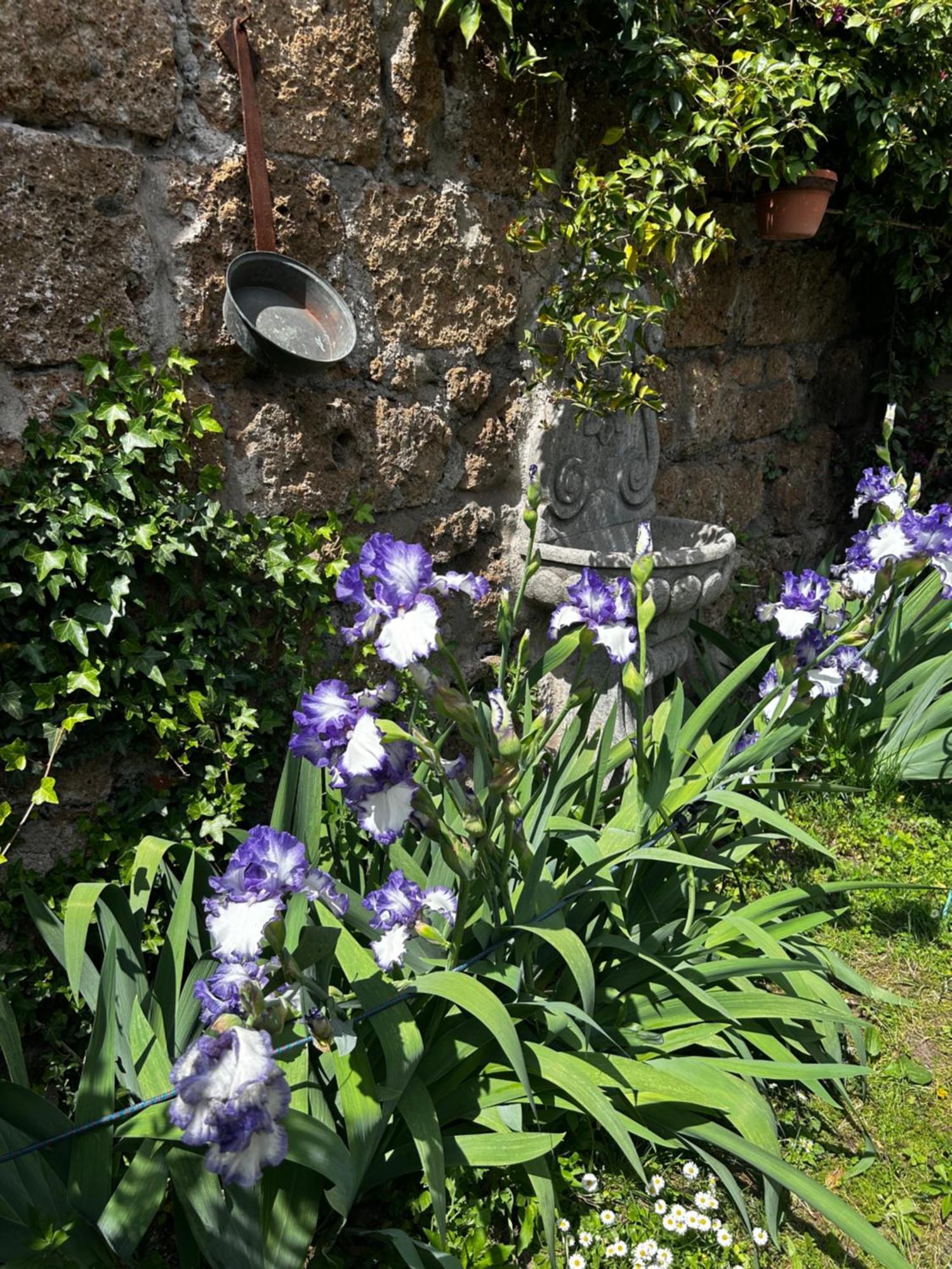 B&B Etruscan Garden Сутри Экстерьер фото